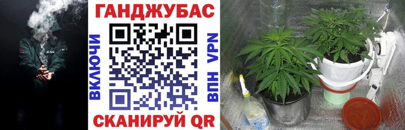Где можно купить наркотики Отрадное Гашиш  Галлюциногенные грибы  MDMA  Меф  Конопля  Cocaine 